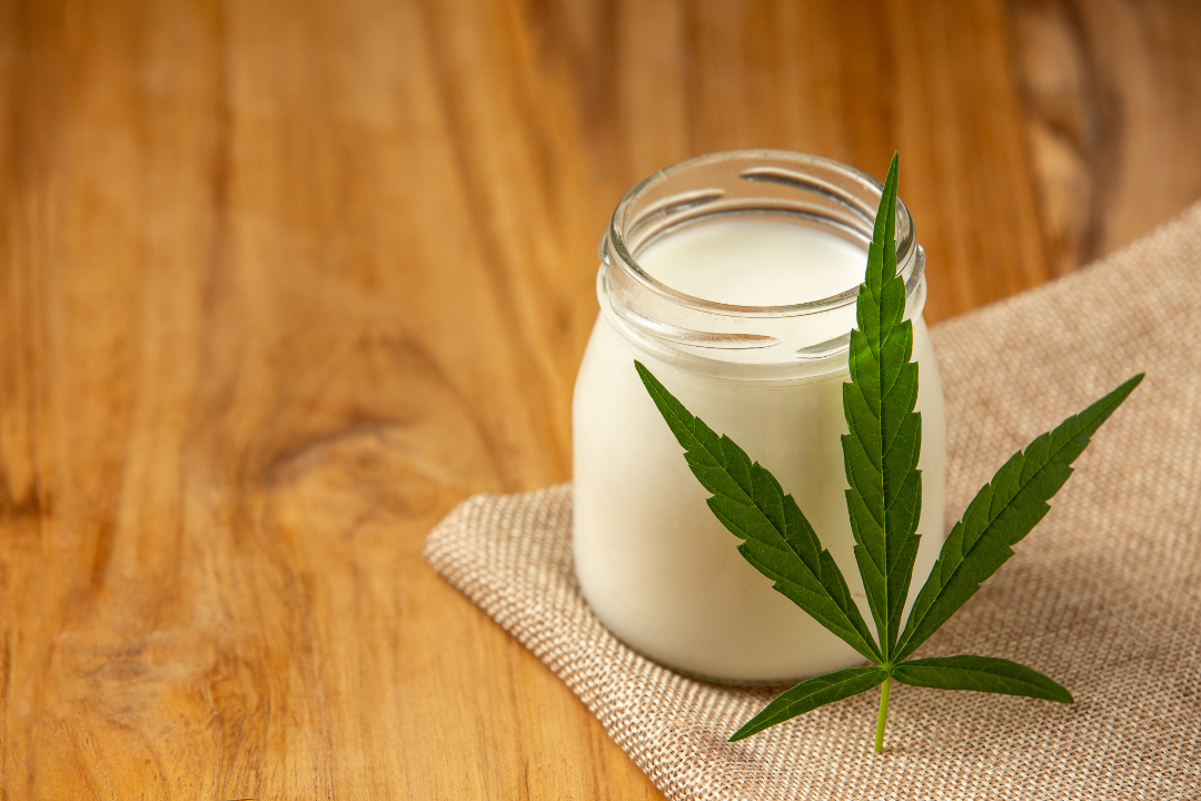 Make Hemp Milk at Home
